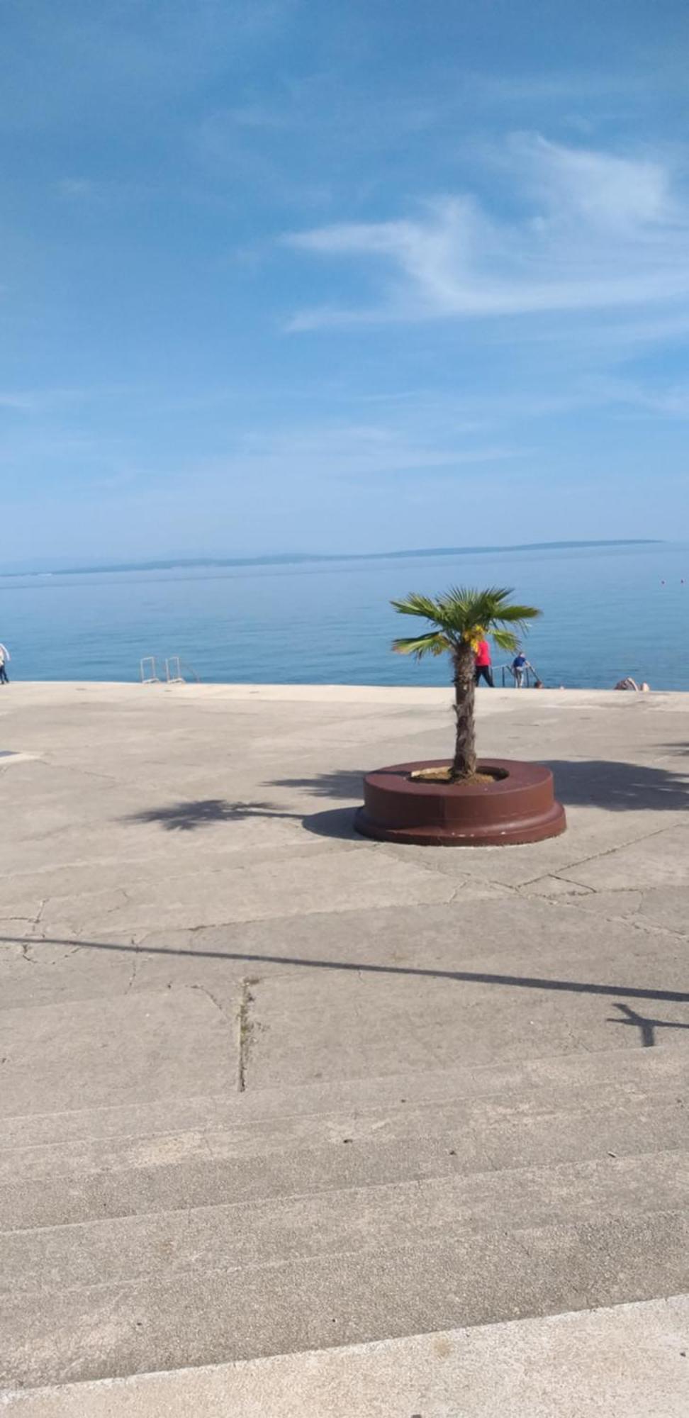 Apartman Blazenka Viskovo Bagian luar foto